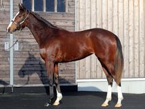 ����å��ǳ��������ɽ�����ޤ�