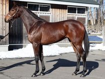 ����å��ǳ��������ɽ�����ޤ�