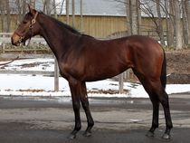 ����å��ǳ��������ɽ�����ޤ�