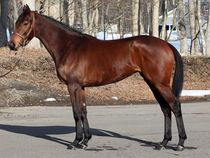 ����å��ǳ��������ɽ�����ޤ�