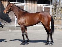 ����å��ǳ��������ɽ�����ޤ�