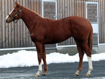 ����å��ǳ��������ɽ�����ޤ�