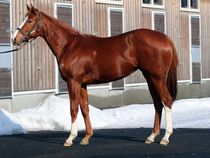 ����å��ǳ��������ɽ�����ޤ�