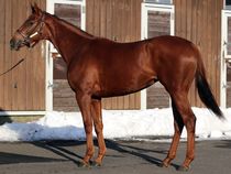 ����å��ǳ��������ɽ�����ޤ�