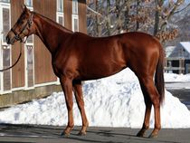 ����å��ǳ��������ɽ�����ޤ�