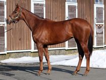 ����å��ǳ��������ɽ�����ޤ�