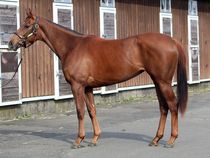 ����å��ǳ��������ɽ�����ޤ�