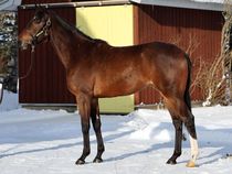 ����å��ǳ��������ɽ�����ޤ�