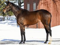 ����å��ǳ��������ɽ�����ޤ�