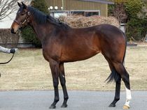 ����å��ǳ��������ɽ�����ޤ�