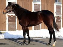 ����å��ǳ��������ɽ�����ޤ�