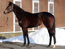 ����å��ǳ��������ɽ�����ޤ�