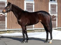 ����å��ǳ��������ɽ�����ޤ�