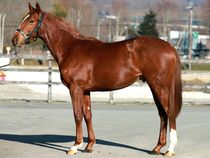 ����å��ǳ��������ɽ�����ޤ�