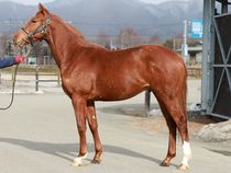 ����å��ǳ��������ɽ�����ޤ�