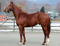 ����å��ǳ��������ɽ�����ޤ�