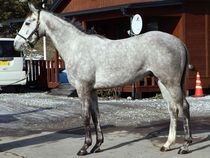 ����å��ǳ��������ɽ�����ޤ�