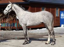 ����å��ǳ��������ɽ�����ޤ�