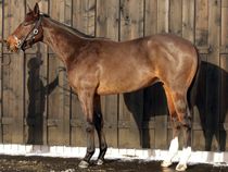 ����å��ǳ��������ɽ�����ޤ�