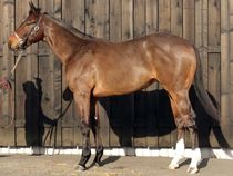 ����å��ǳ��������ɽ�����ޤ�