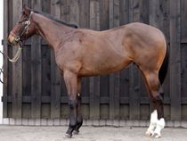 ����å��ǳ��������ɽ�����ޤ�