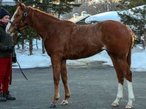 ����å��ǳ��������ɽ�����ޤ�