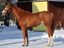 ����å��ǳ��������ɽ�����ޤ�