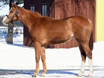 ����å��ǳ��������ɽ�����ޤ�