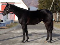 ����å��ǳ��������ɽ�����ޤ�