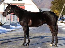 ����å��ǳ��������ɽ�����ޤ�