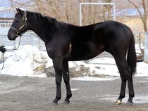 ����å��ǳ��������ɽ�����ޤ�