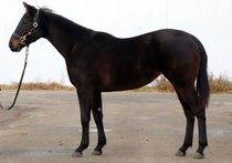 ����å��ǳ��������ɽ�����ޤ�