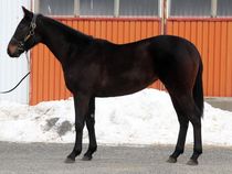 ����å��ǳ��������ɽ�����ޤ�