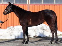 ����å��ǳ��������ɽ�����ޤ�